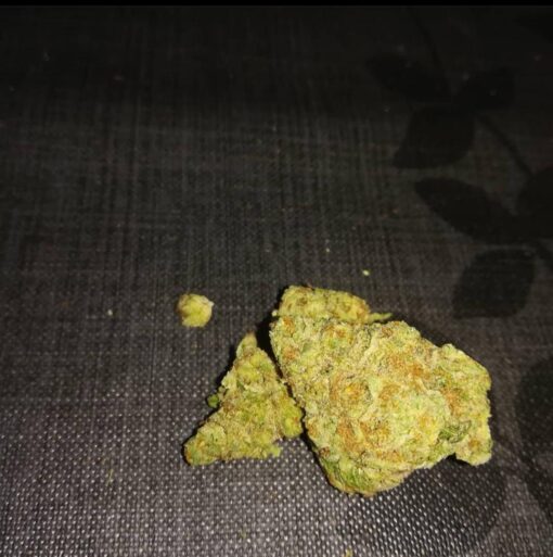 Buy Mimosa Marijuana Strain