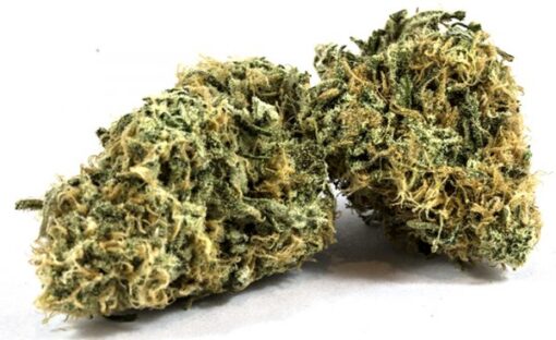 Buy Zombie Kush online