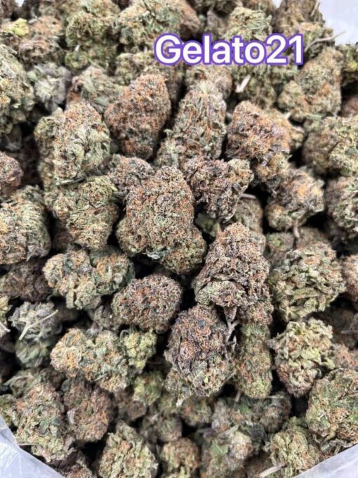 Buy Mimosa Marijuana Strain