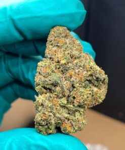 BUY WEED IN EUROPE