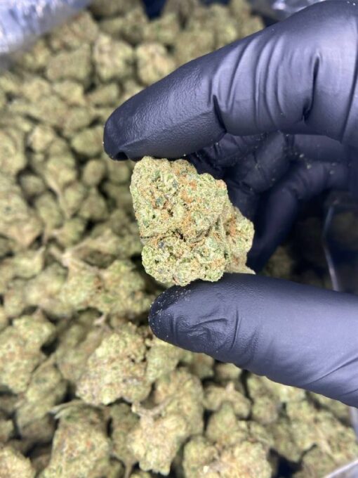 Apple fritters strain