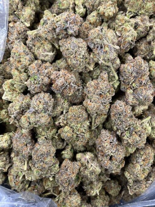 Apple fritters strain